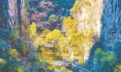 3703768_gaoq_1731333215598_b.jpg