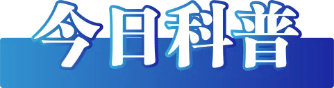 640.webp (1).png