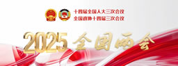 2025年全国两会